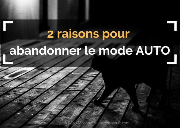 2 raisons puissantes pour vous pousser à abandonner le mode automatique