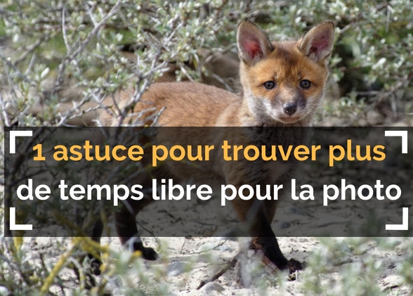 1 astuce pour trouver plus de temps libre pour la photo