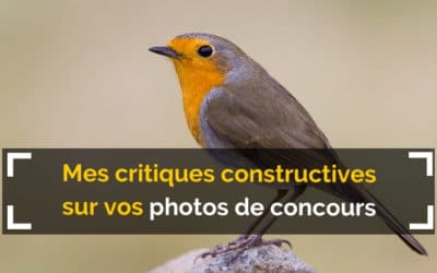 Mes critiques constructives sur vos photos de concours