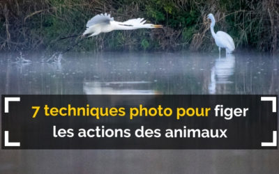 7 techniques photo pour figer les actions