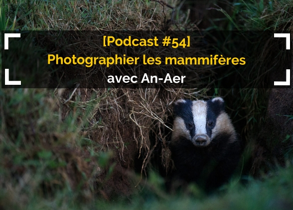 [Podcast #54] Photographier les mammifères avec Vincent Rannou