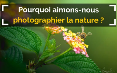 Pourquoi aimons-nous photographier la nature ?