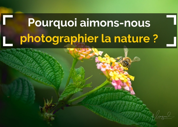 Pourquoi aimons-nous photographier la nature ?