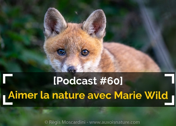 [Podcast #60] Découvrir et aimer la nature avec Marie Wild