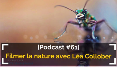 [Podcast #61] Filmer la nature et les animaux avec Léa Collober