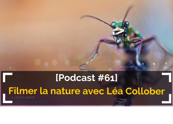 [Podcast #61] Filmer la nature et les animaux avec Léa Collober