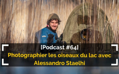 [Podcast #64] Photographier les oiseaux du lac avec Alessandro Staelhi