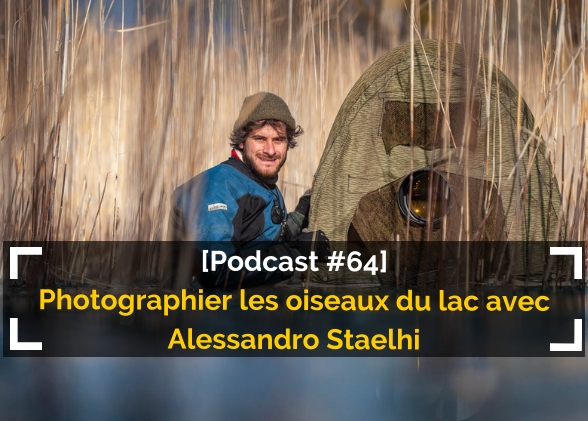 [Podcast #64] Photographier les oiseaux du lac avec Alessandro Staelhi