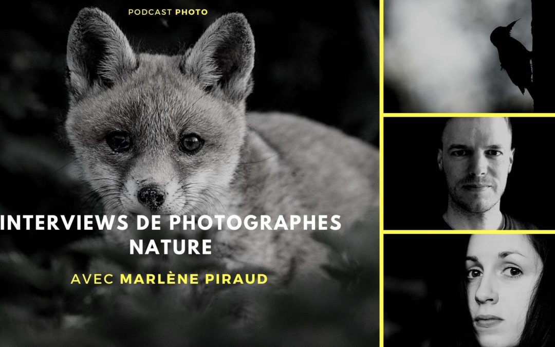 [Podcast #74] Photographier les animaux de la forêt avec Marlène Piraud
