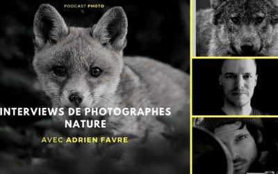 [Podcast #73] Aimer et préserver la nature avec Adrien Favre