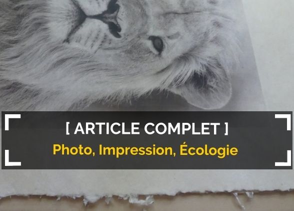 Photographie et impression : l’urgence d’agir