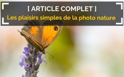 Redécouvrir les plaisirs simples, et les photographier