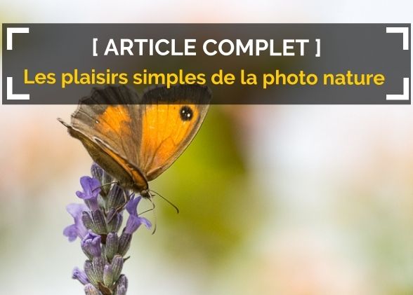 Redécouvrir les plaisirs simples, et les photographier